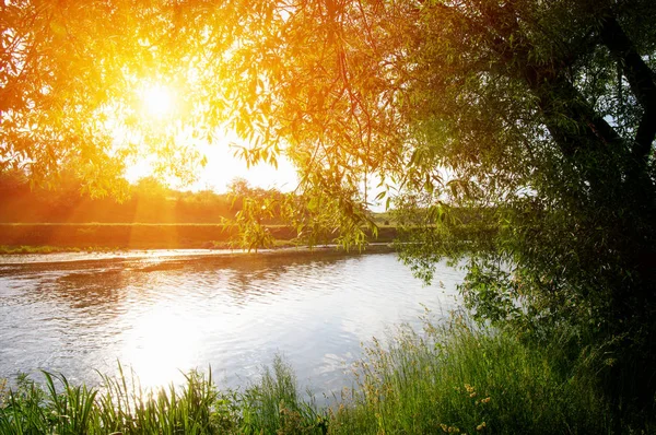 阳光下的河流风景 — 图库照片