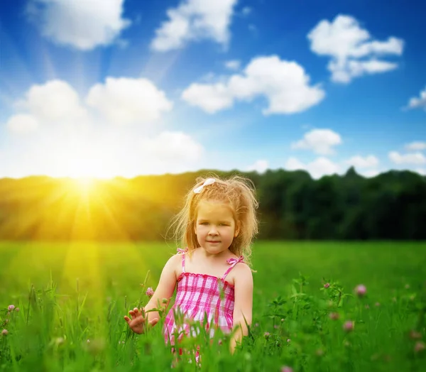 Kleines Mädchen Auf Der Wiese Frühlingstag — Stockfoto