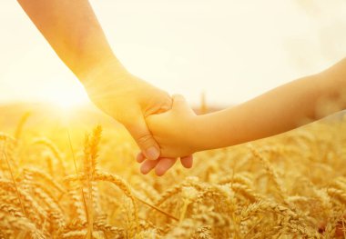 Güneşin üzerindeki anne ve kızın elleri. Birbirlerini buğday tarlasında tutuyorlar.