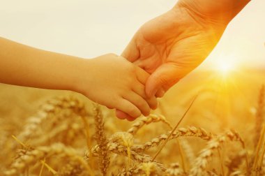Güneşin üzerindeki anne ve kızın elleri. Birbirlerini buğday tarlasında tutuyorlar.