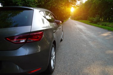  Doğada asfalt yolda bir araba. Erkek eli dinleniyor ve yol gezisinin ve güneşli günün tadını çıkarıyor..