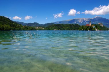 Manzara Gölü Bled ve dağlar. Slovenya, Avrupa.