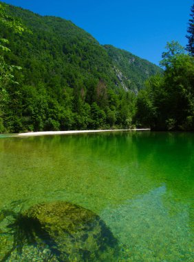 Dağları, ormanı ve nehri olan bir manzara.