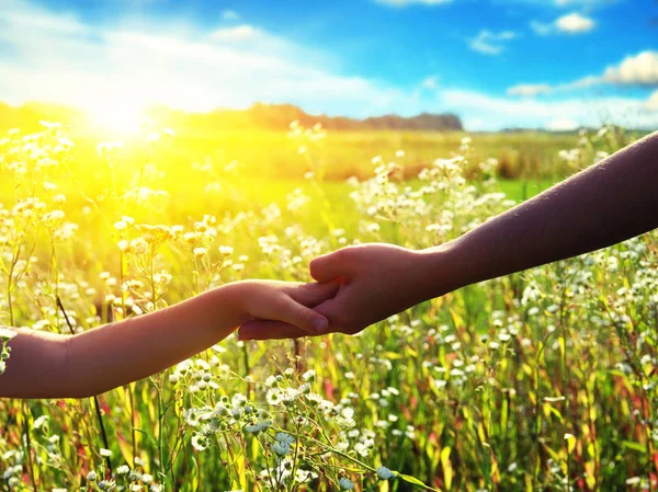 Hands of holding each other in field on road and sun