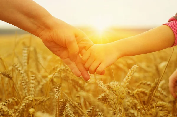 太陽の下で母親と娘の手 コムギ畑で互いを保持する — ストック写真