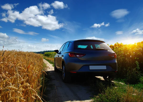 Coche Camino Tierra Campo Girasoles Trigo Con Luz Solar — Foto de Stock