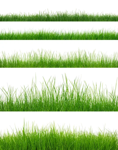 Grönt Gräs Vit Bakgrund — Stockfoto