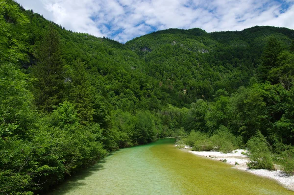 Paisagem Com Montanhas Floresta Rio — Fotografia de Stock