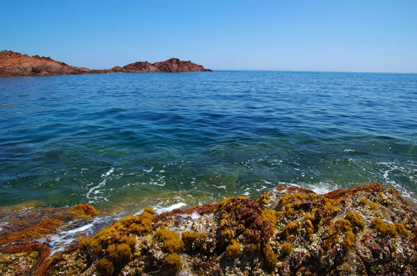 Пейзаж Моря Скалами Чистая Голубая Вода Заливе — стоковое фото