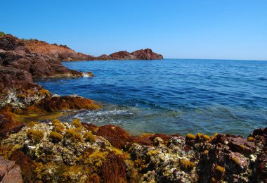 Denizin taşlı manzarası. Koyda berrak mavi su.