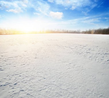 Kış manzarası. Mavi gökyüzünde ve güneşte karla kaplı tarlalar.