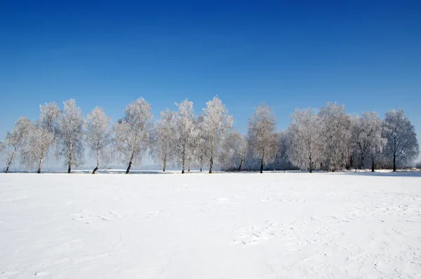 Снежное Поле Облачное Небо — стоковое фото