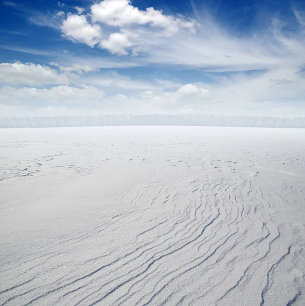 Campo Neve Cielo Nuvoloso — Foto Stock