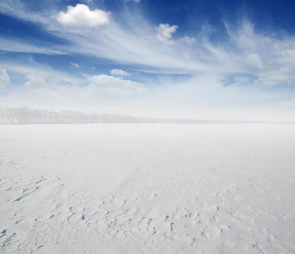 Pole Śniegu Zachmurzone Niebo — Zdjęcie stockowe