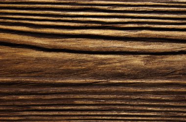 closeup arka plan ağaç doku