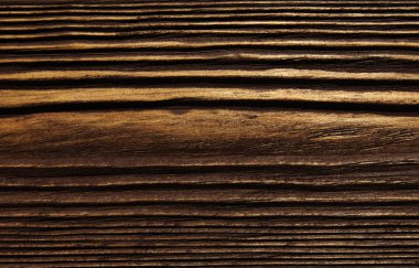 closeup arka plan ağaç doku