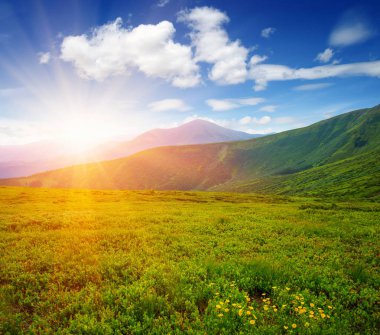 Güneşli dağ manzarası