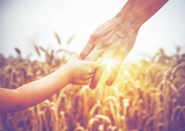 çocuk ve babası buğday alanında 