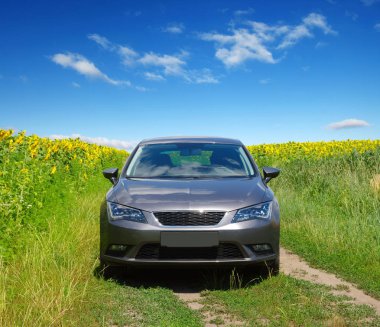 Ayçiçeği tarlası araba