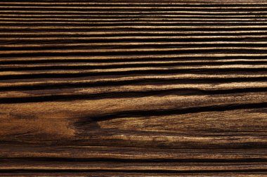 closeup arka plan ağaç doku