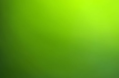 Yeşil arka plan bulanık güneş ışığı altında