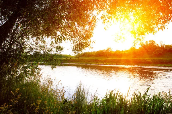 阳光下的河流风景 — 图库照片
