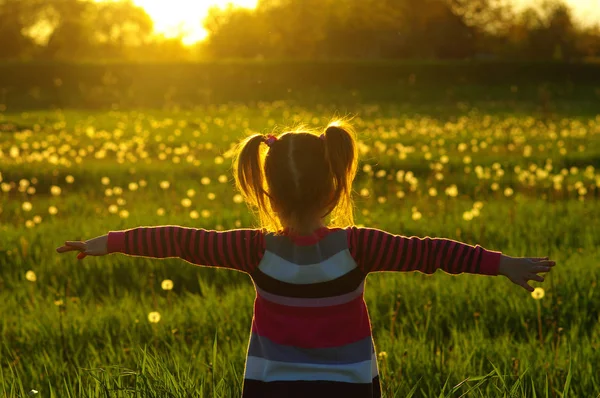 Mädchen Sonnenlicht Auf Dem Feld — Stockfoto