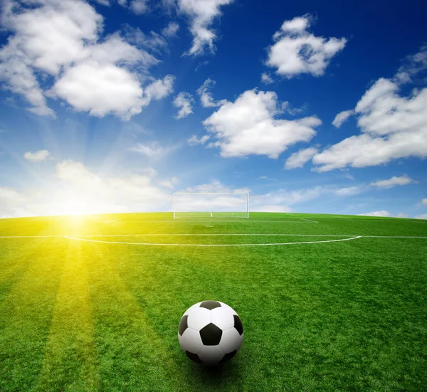 Soccer Ball Grass — Stock Photo, Image
