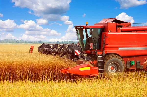 Combine Trabalhar Campo Colheita — Fotografia de Stock