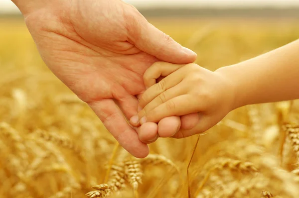 Hände Von Vater Und Tochter Halten Sich Auf Weizenfeld — Stockfoto