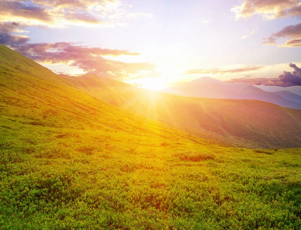 Güneşli dağ manzarası