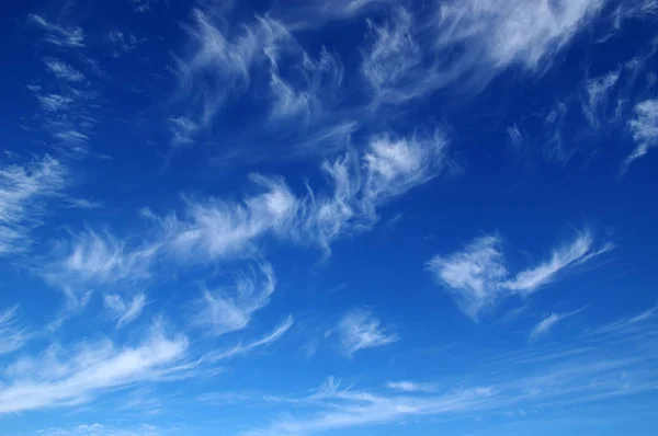 Fond Ciel Bleu Nuages Blancs — Photo