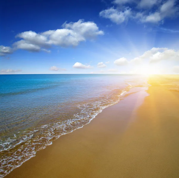 Пляж Море Небе — стоковое фото