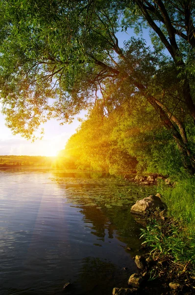 Landscape River Sun — Stock Photo, Image