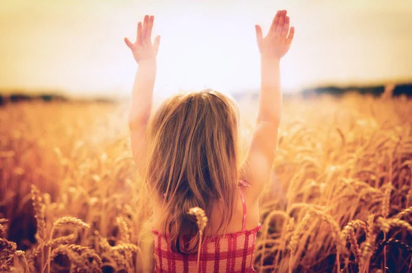 Menina Campo Trigo Por Sol — Fotografia de Stock