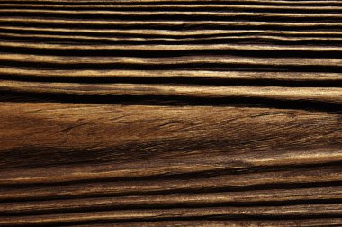 closeup arka plan ağaç doku