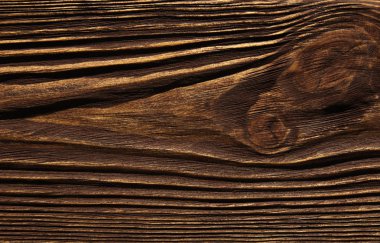 closeup arka plan ağaç doku