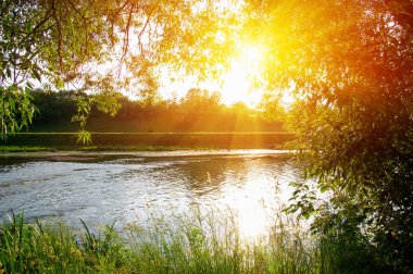 Güneşli bir nehir manzarası
