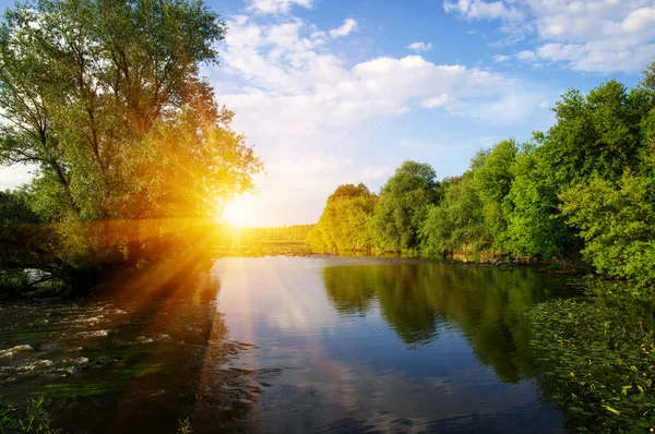 Güneşli bir nehir manzarası