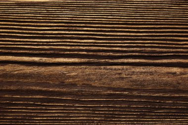 closeup arka plan ağaç doku