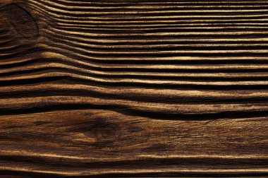 closeup arka plan ağaç doku