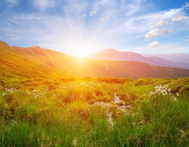 Güneşli dağ manzarası