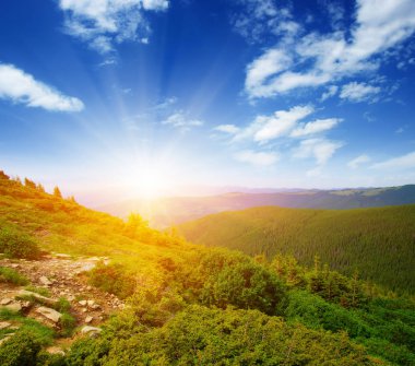 Güneşli dağ manzarası