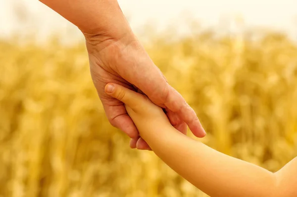 Händerna Mor Och Dotter Håller Varandra Fältet — Stockfoto