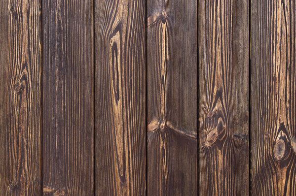 Wood texture. Background old planks