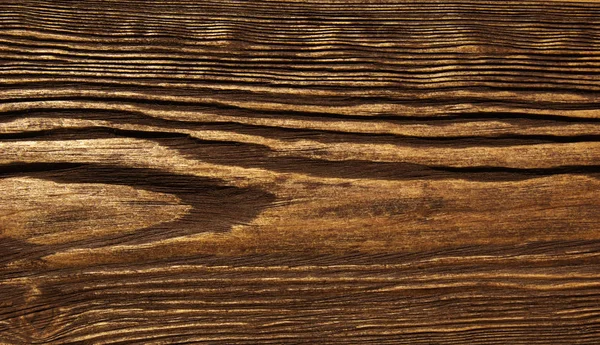 木の古いテクスチャと自然パターン — ストック写真
