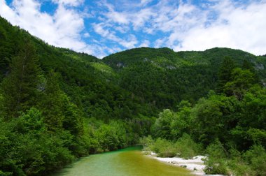 Dağları, ormanı ve nehri olan bir manzara.