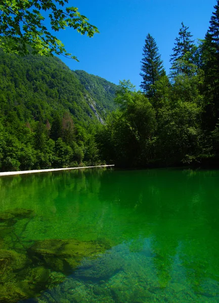 Paisaje Con Montañas Bosque Río —  Fotos de Stock