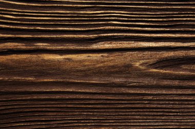 closeup arka plan ağaç doku