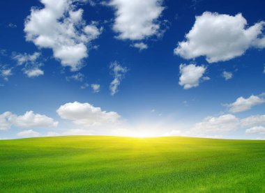 Güneş ve yeşil alan. 